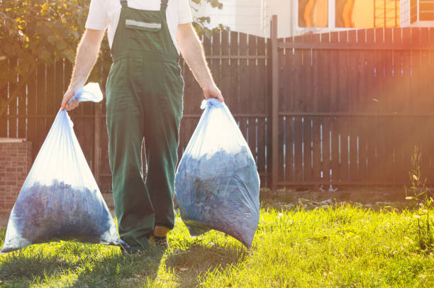 Best Yard Waste Removal  in Park Rapids, MN