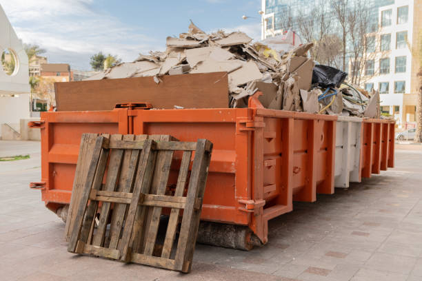 Debris Removal in Park Rapids, MN