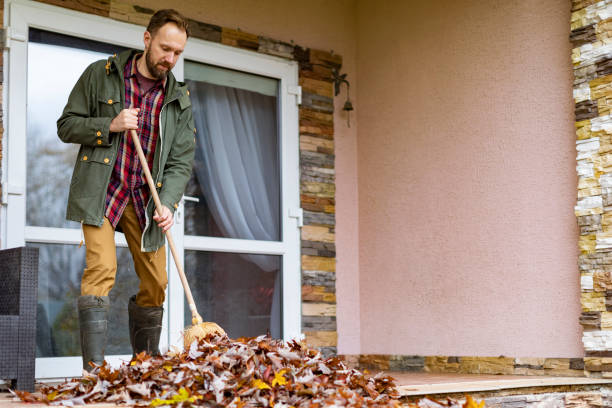 Best Professional Junk Removal  in Park Rapids, MN