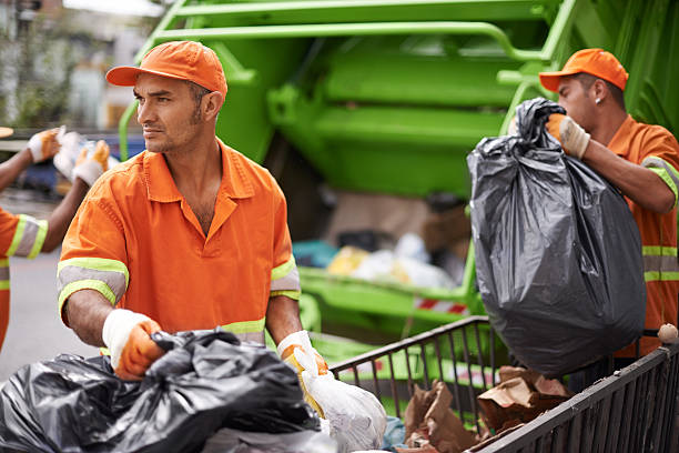 Best Electronics Removal Services  in Park Rapids, MN